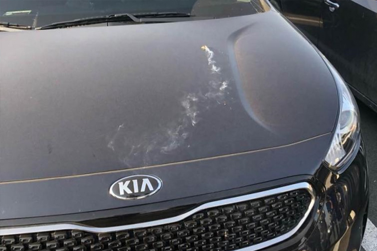 제목 없음-134543545654.jpg