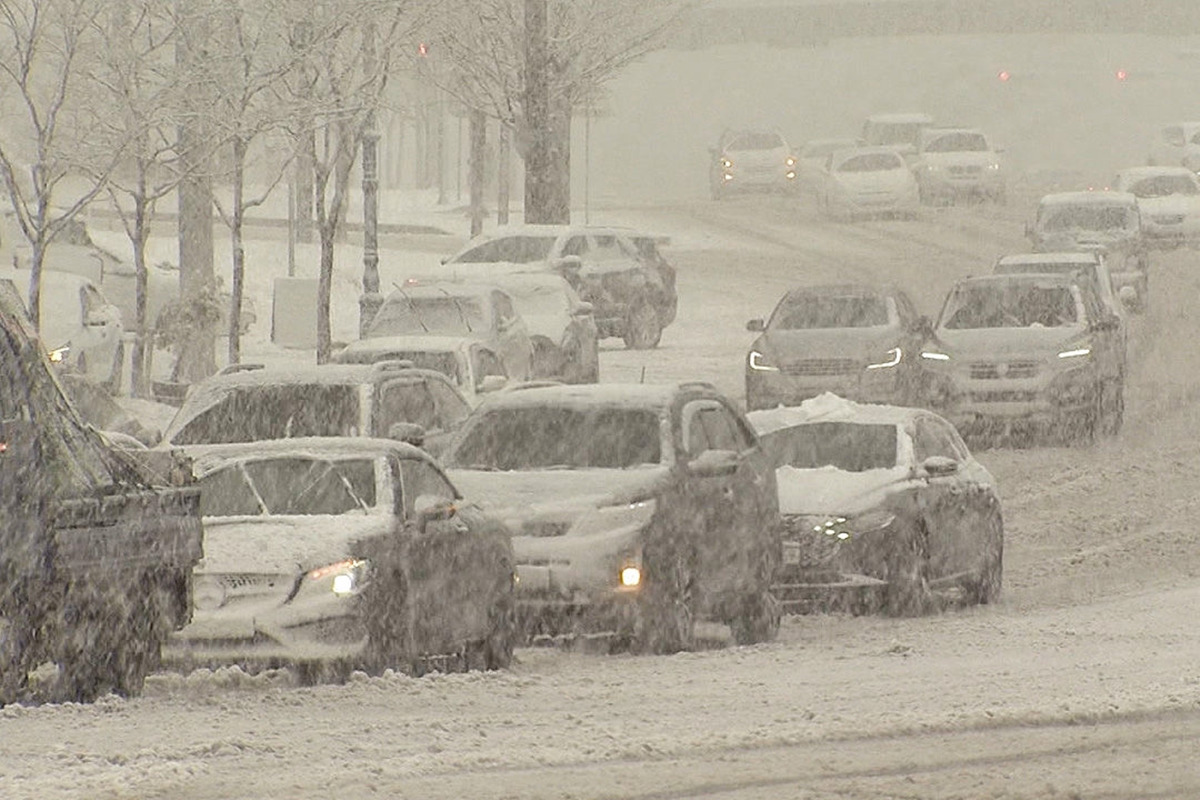 8_폭설 눈길_SBS 뉴스.jpg