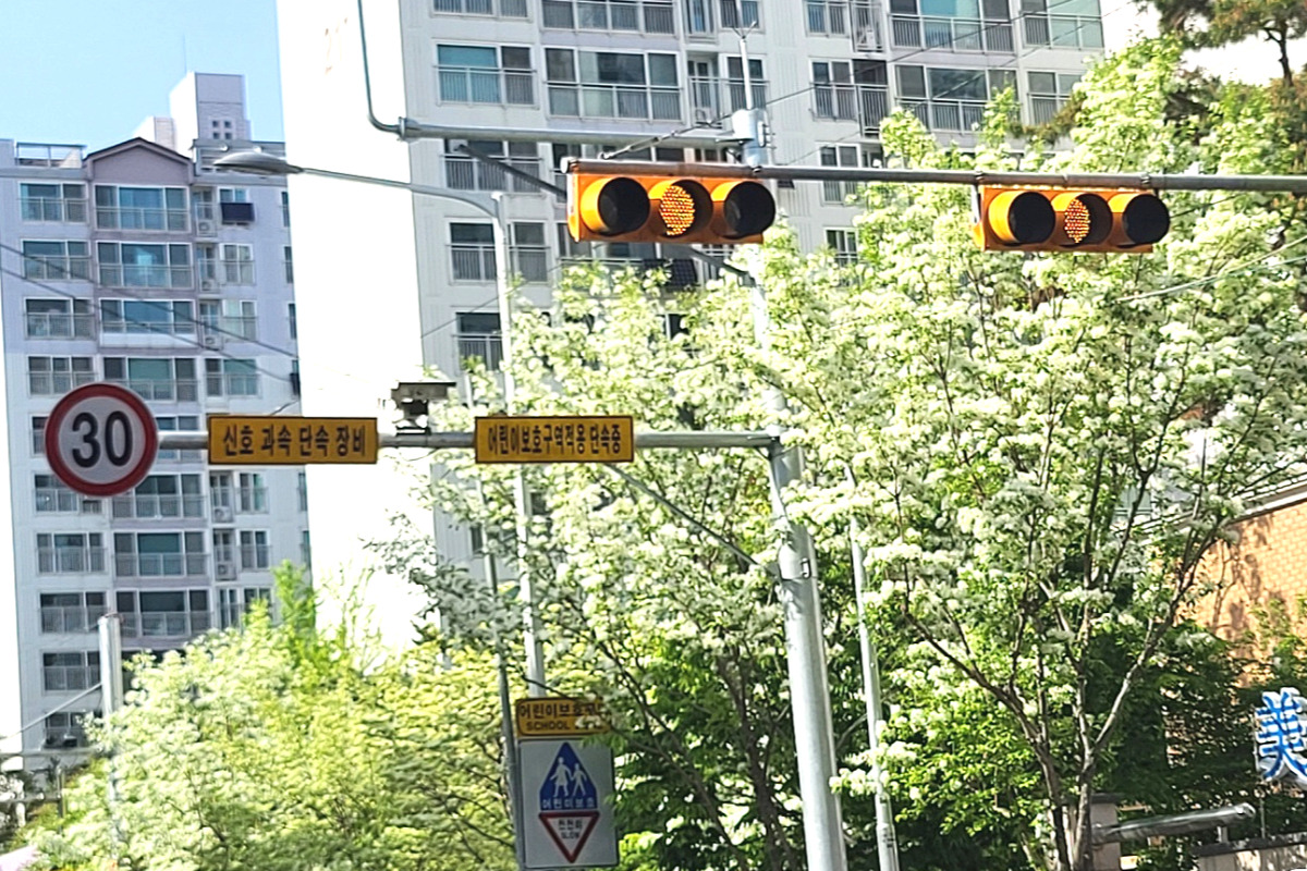 과실_신호위반5.jpg