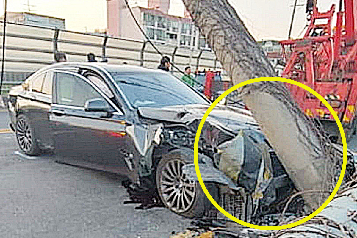 전봇대 정전.jpg