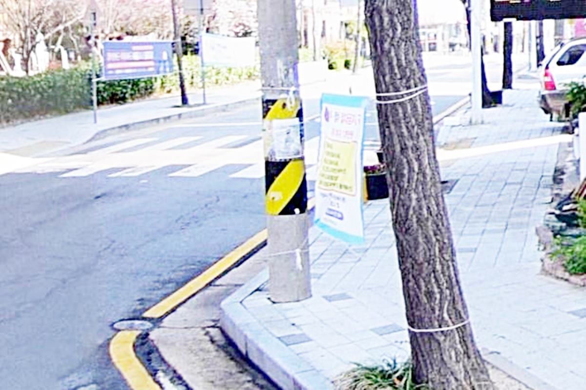 박제된 신고자 사진 출처 = '보배드림'.jpg