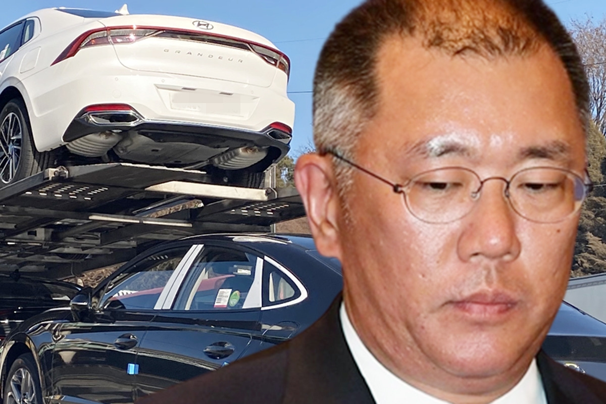 정의선 회장.jpg