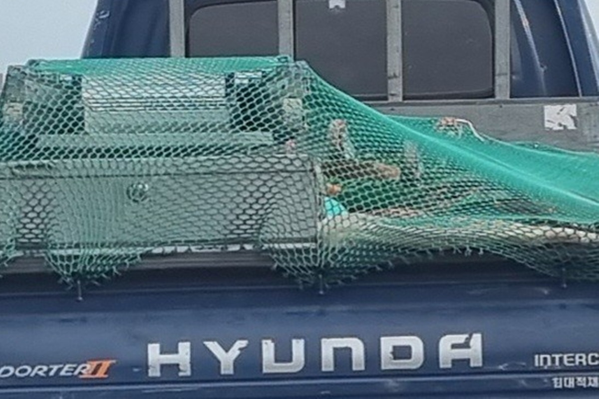 남차카페 현다 포터.jpg