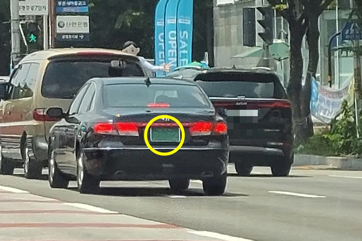 남차카페 번호판 불법.jpg