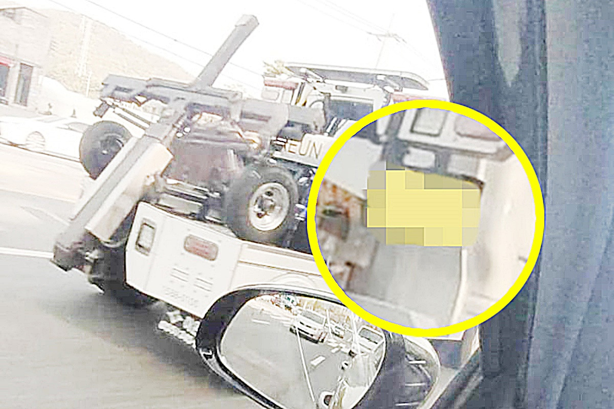 제목 없음-1-복구됨.jpg