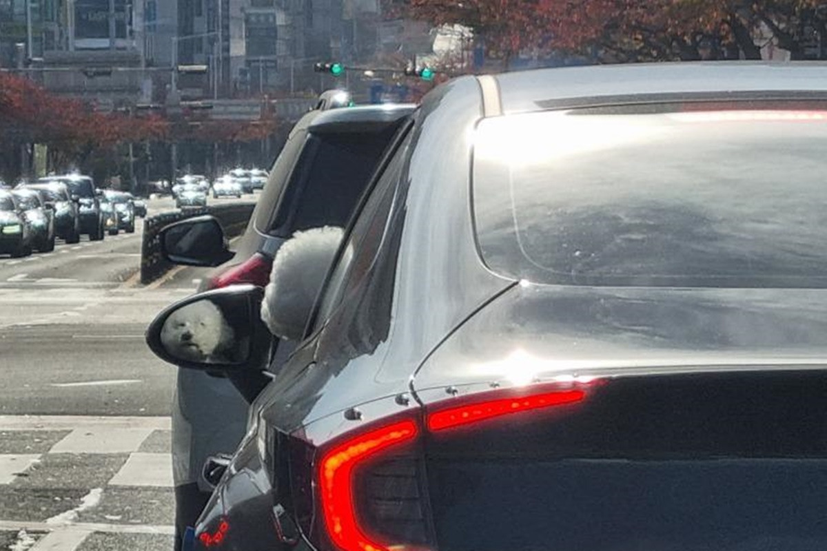 운전의 유전성 6.jpg