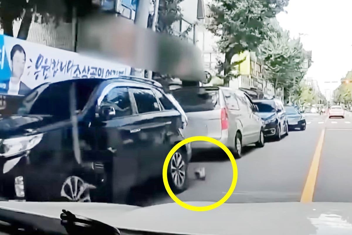 경찰이 볼 수 있었다고 주장하는 공.jpg