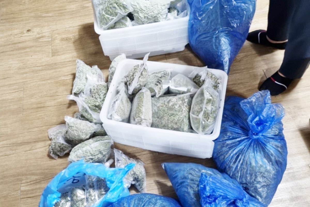 음주 운전 의심자가 보유했던 마약 뉴스1.jpg