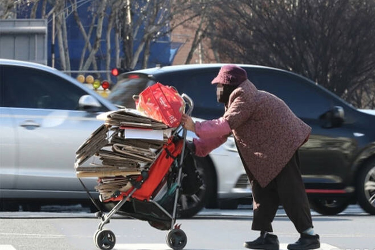 노인횡단 출처 뉴스1.jpg