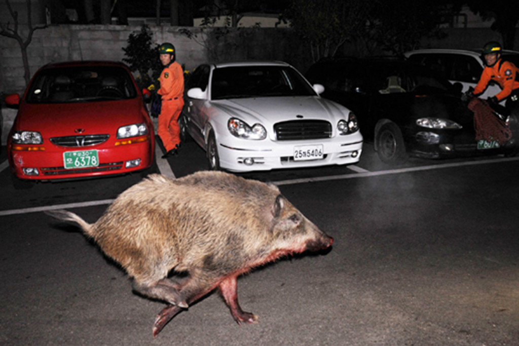 제목 없음-22343245324.jpg