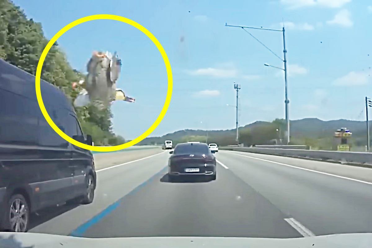 사진 출처 = 유튜브 채널 '한문철TV'.jpg