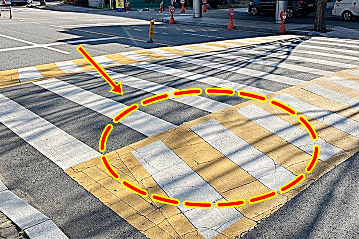 썸네일_고원식 횡단보도.jpg