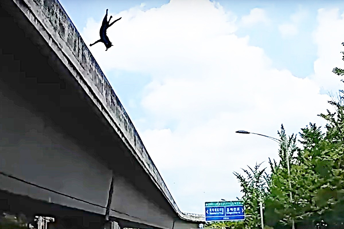 한문철 고양이 2.jpg