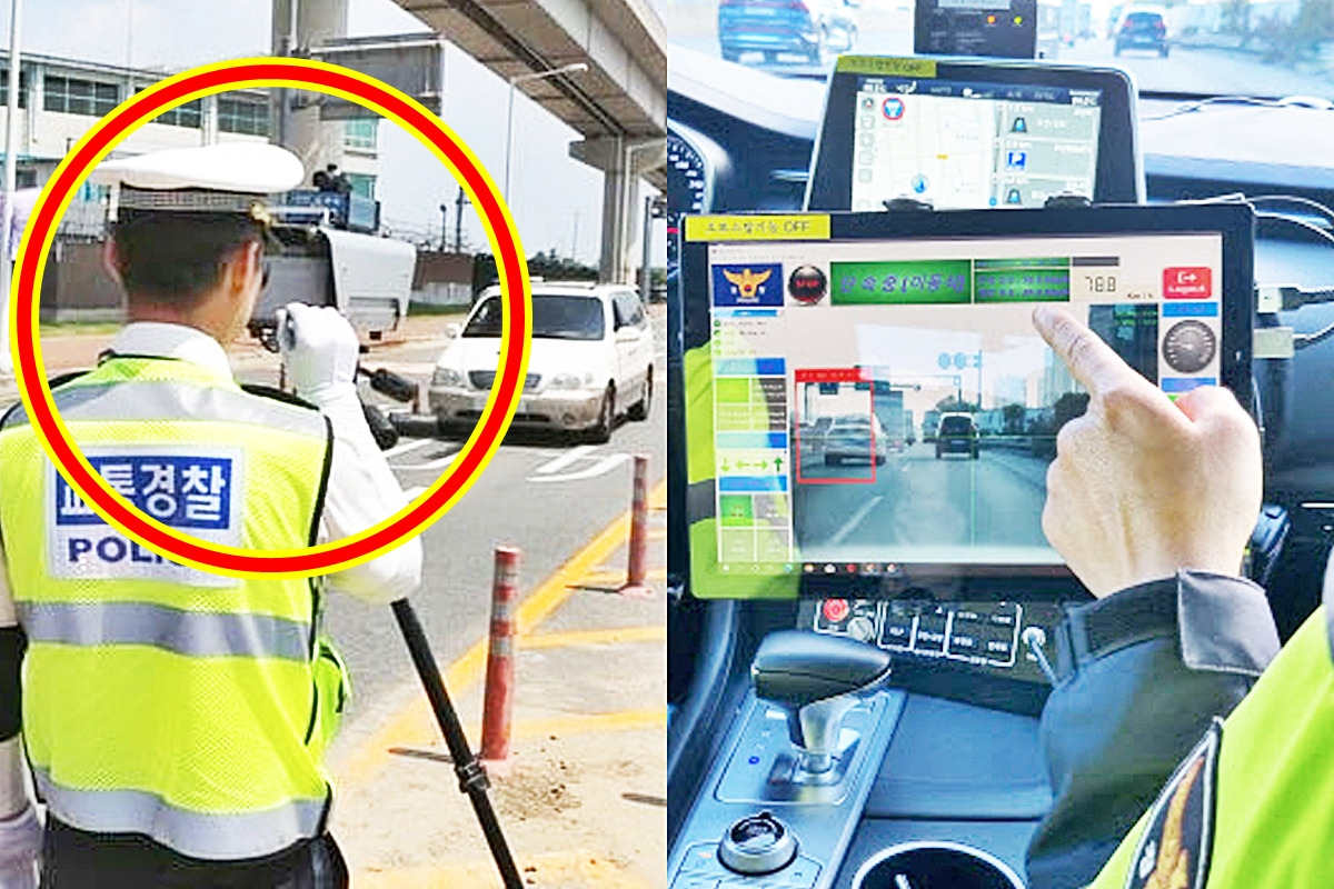 캥거루운전단속.jpg