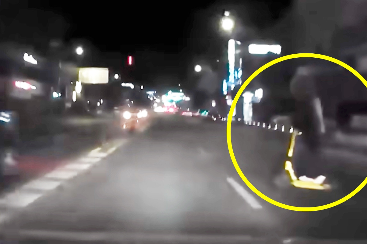 1_킥라니_유튜브 채널 '한문철 TV'.jpg