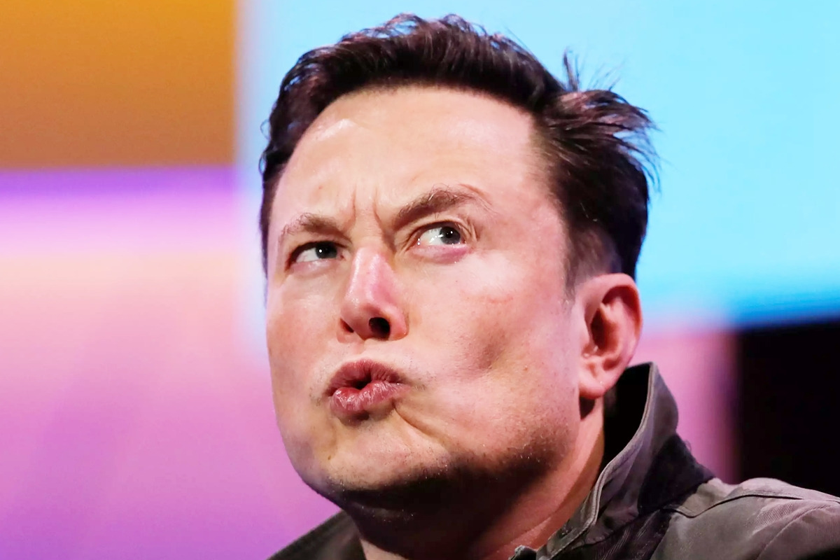 6_테슬라 리콜 대참사_Toiimg.jpg