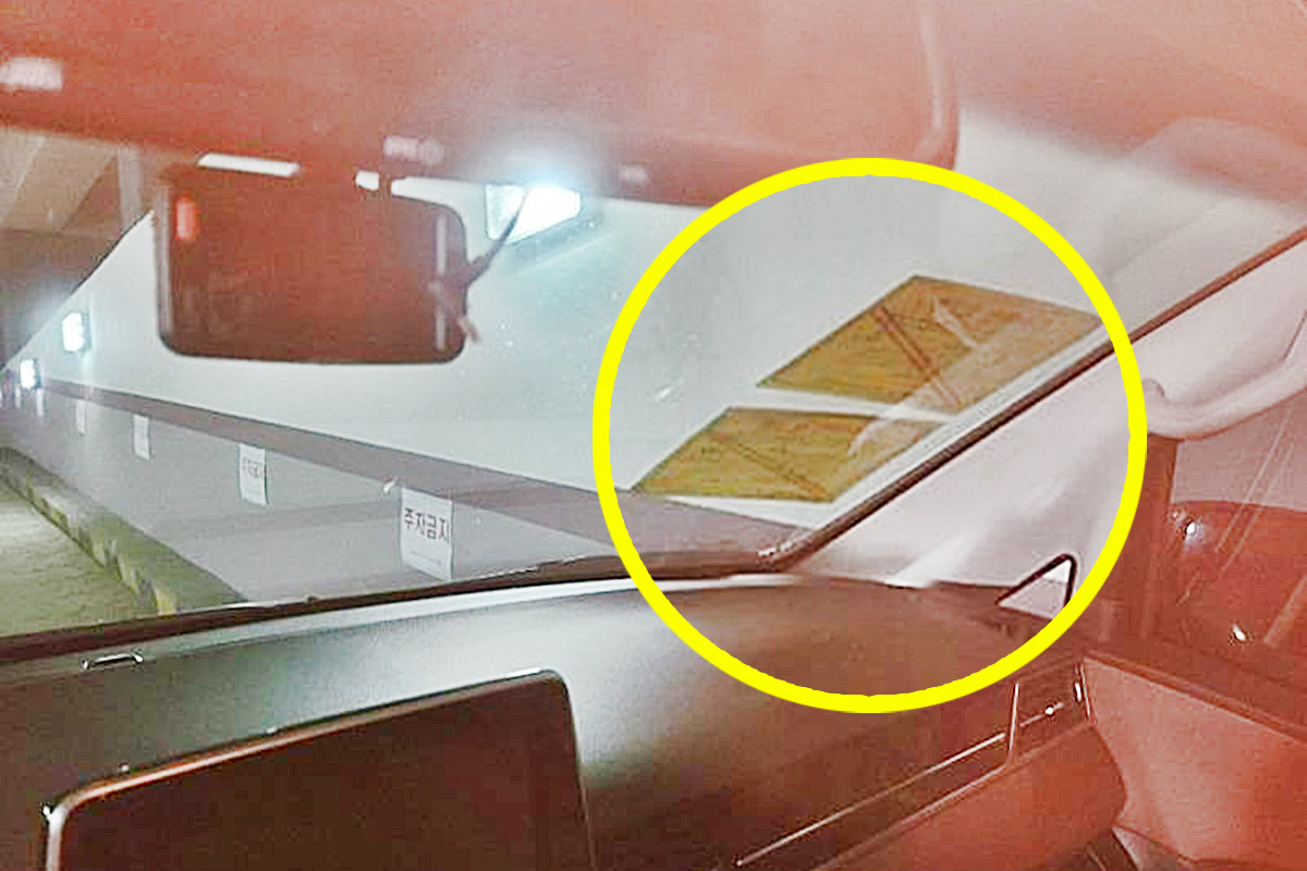 제목 없음-1-복구됨.jpg