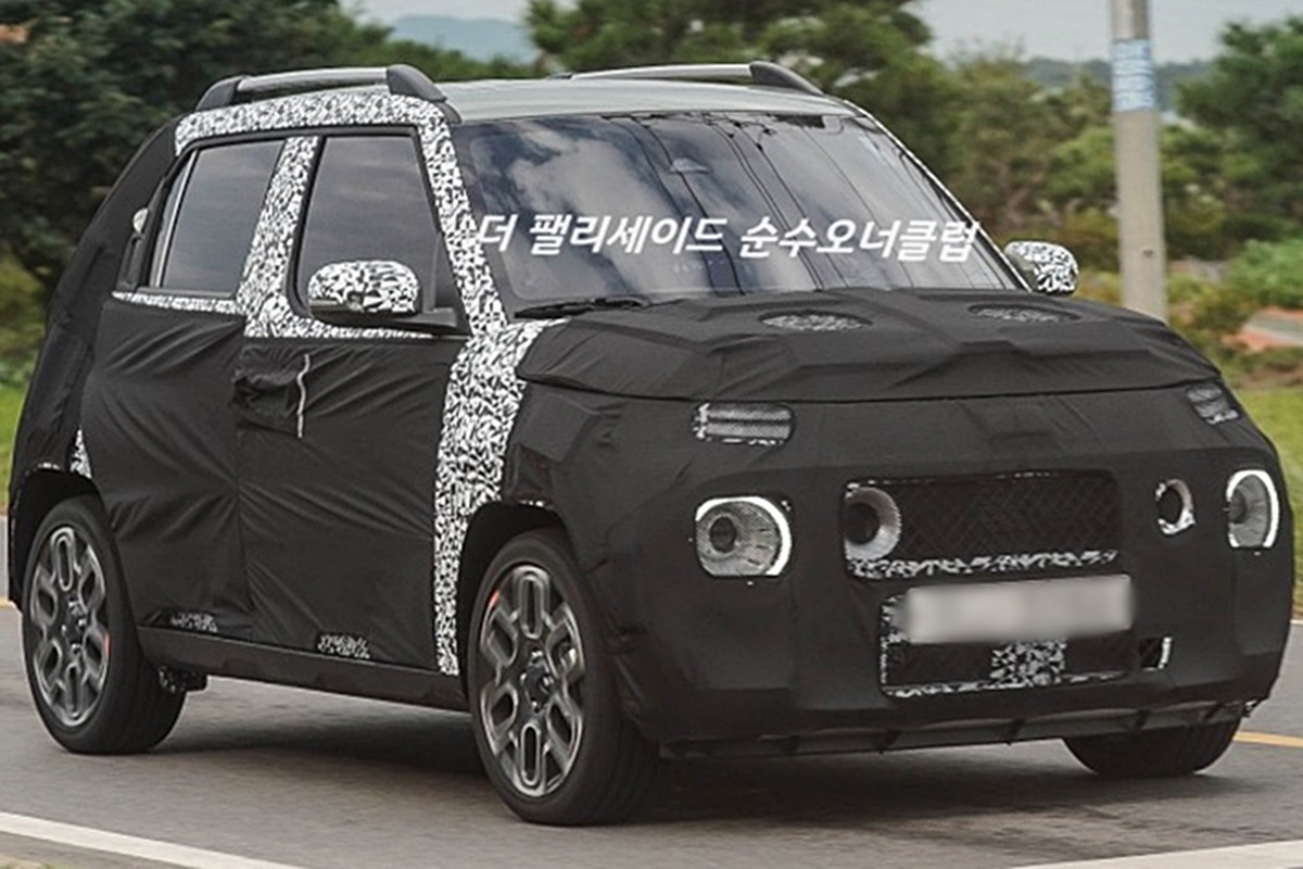 더 팰리세이드 순수오너클럽.jpg