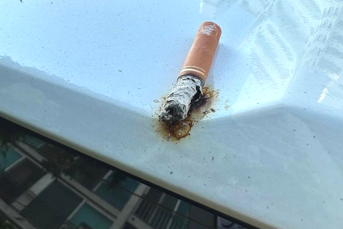 담배꽁초_베란다3.jpg