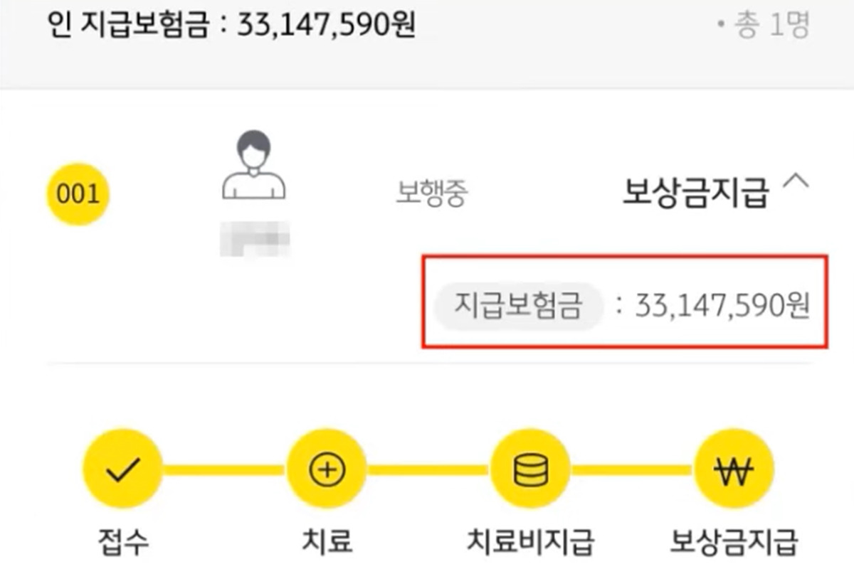 5_대인 보험금 총합_유튜브 채널 '한문철 TV'.jpg