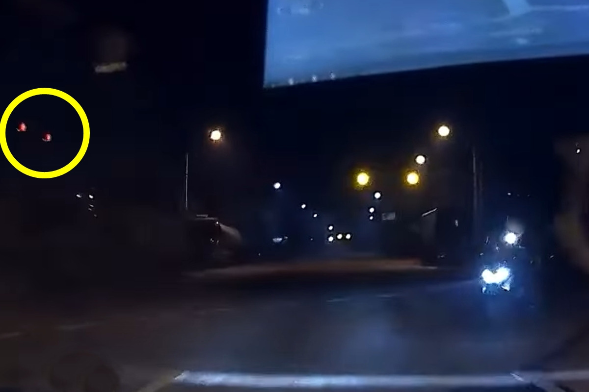 4_당시 오토바이 적색 신호_유튜브 채널 '한문철 TV'.jpg