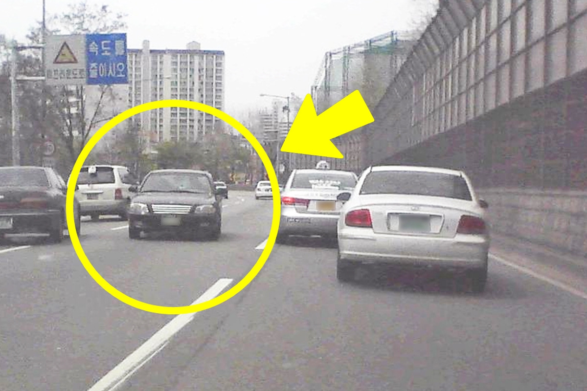 역주행처벌.jpg