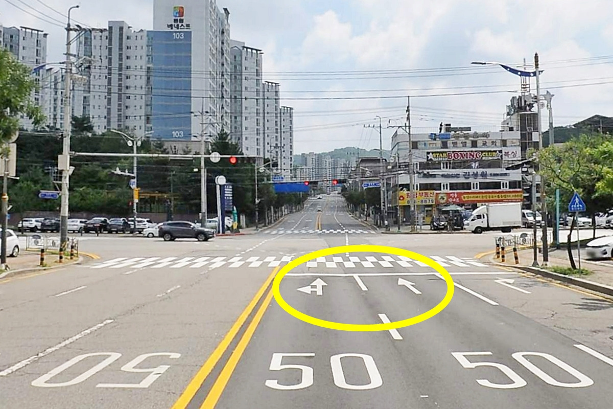 1_당시 제보자가 주행하던 도로_카카오맵 로드뷰 캡처.jpg