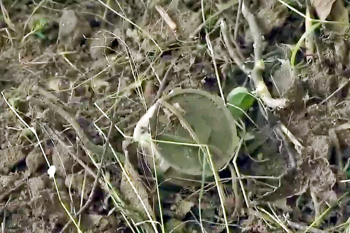 M14 말목지뢰 KBS 뉴스.jpg