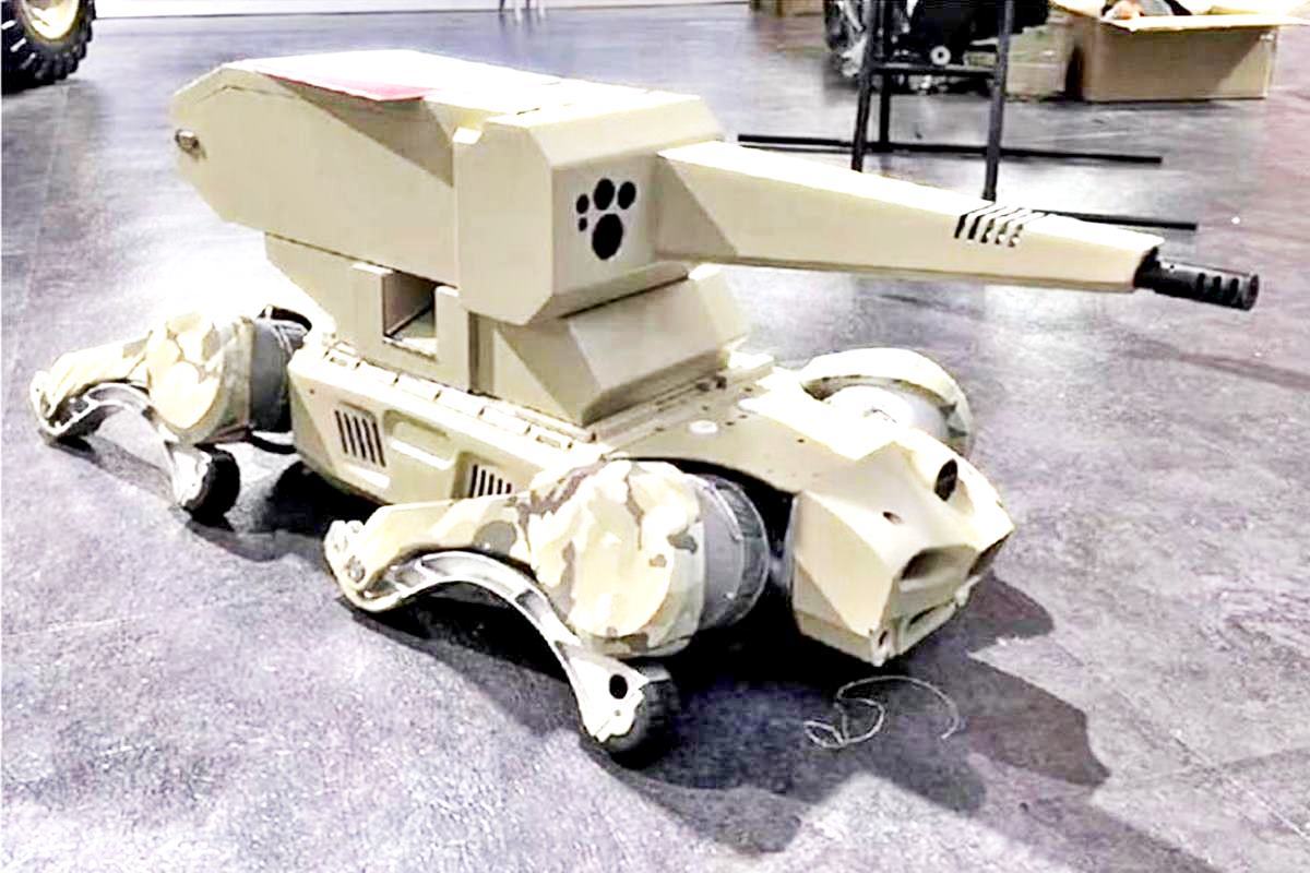 중국의 로봇개 armyrecognition.jpg