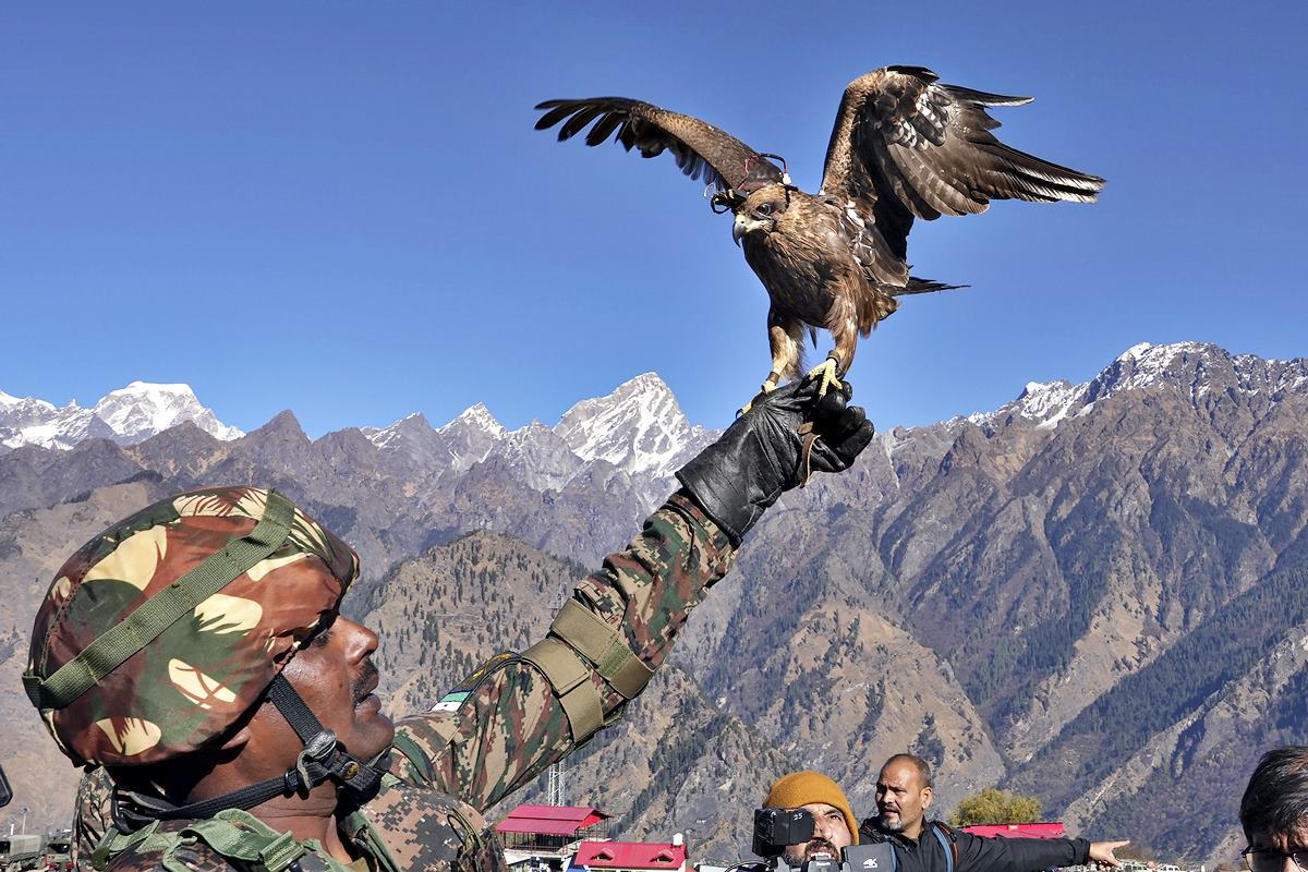 인도군에서 사용 중인 드론 대응 독수리 News18.jpg