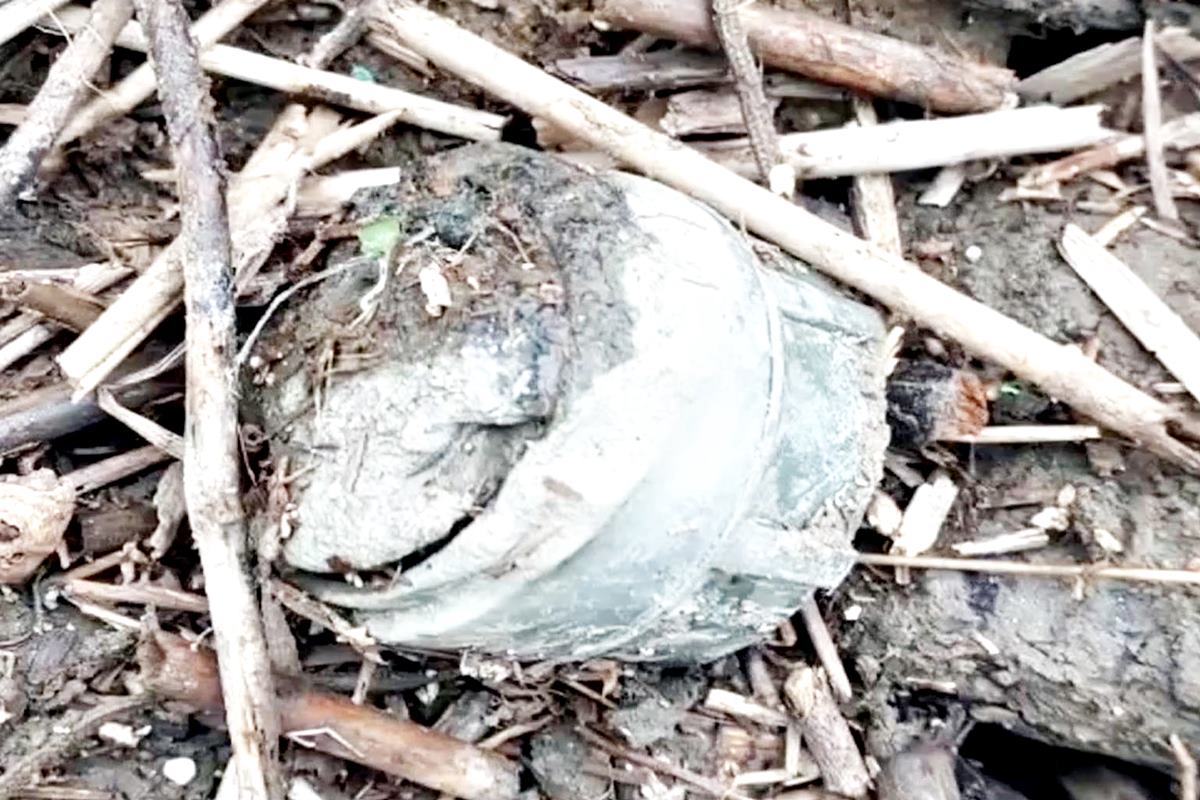 M14 발목지뢰.jpg