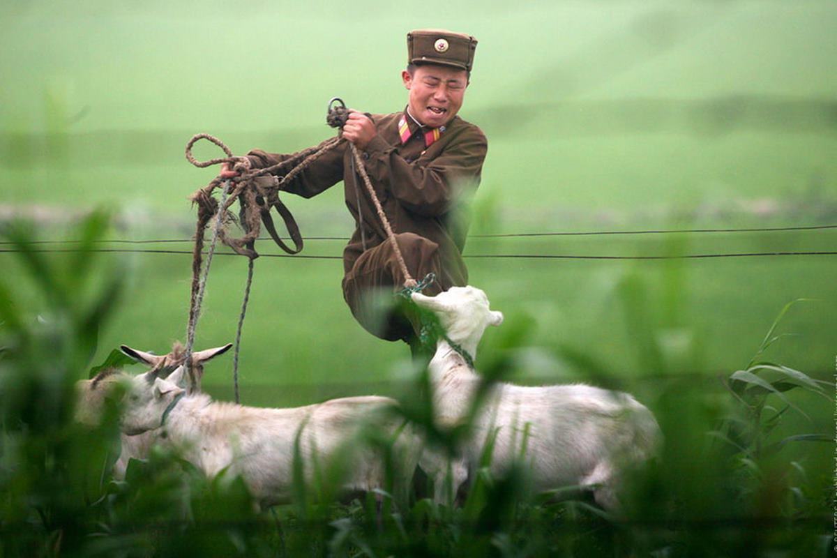 북한군 클라스.jpg