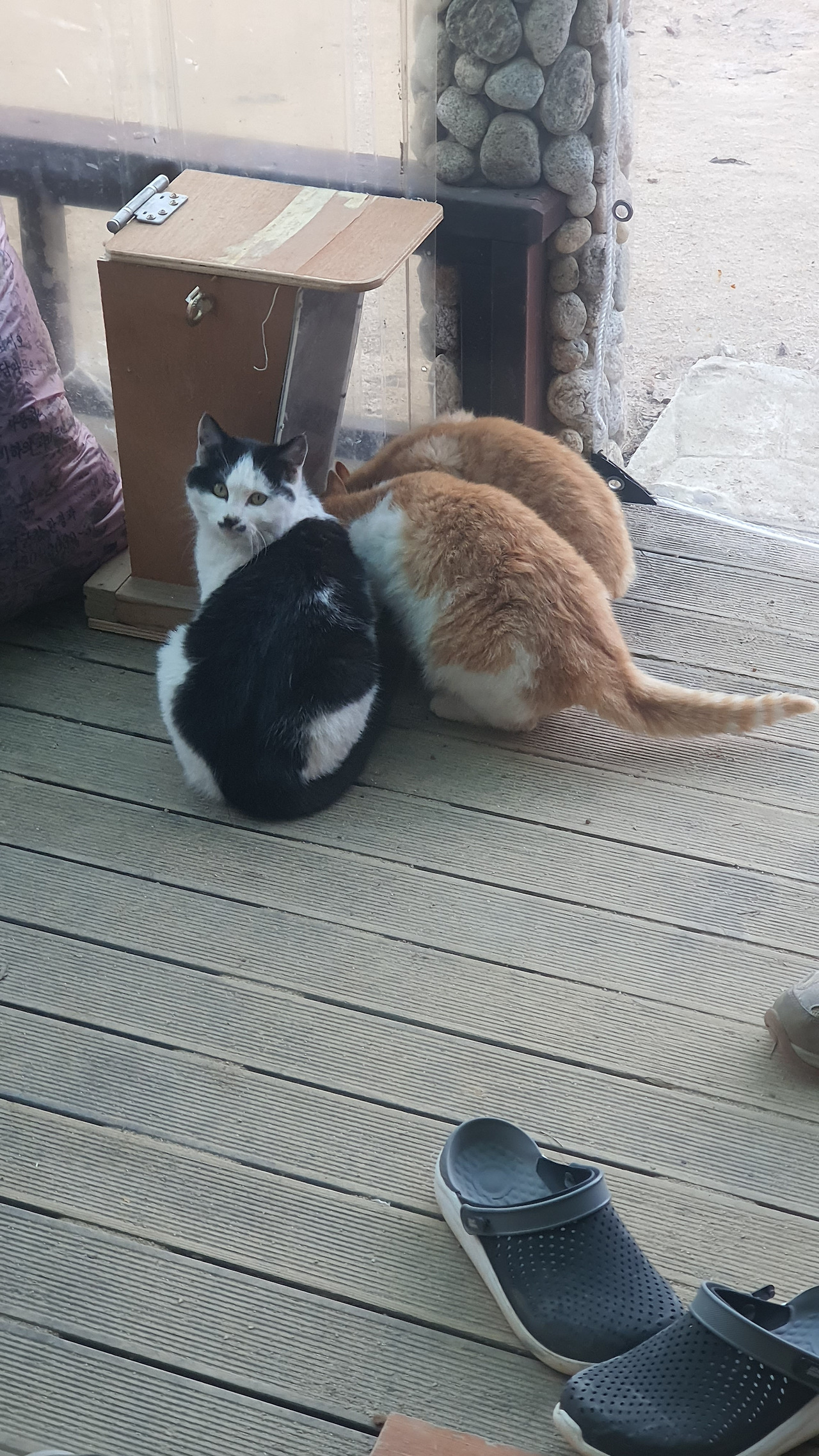 카지노 게임