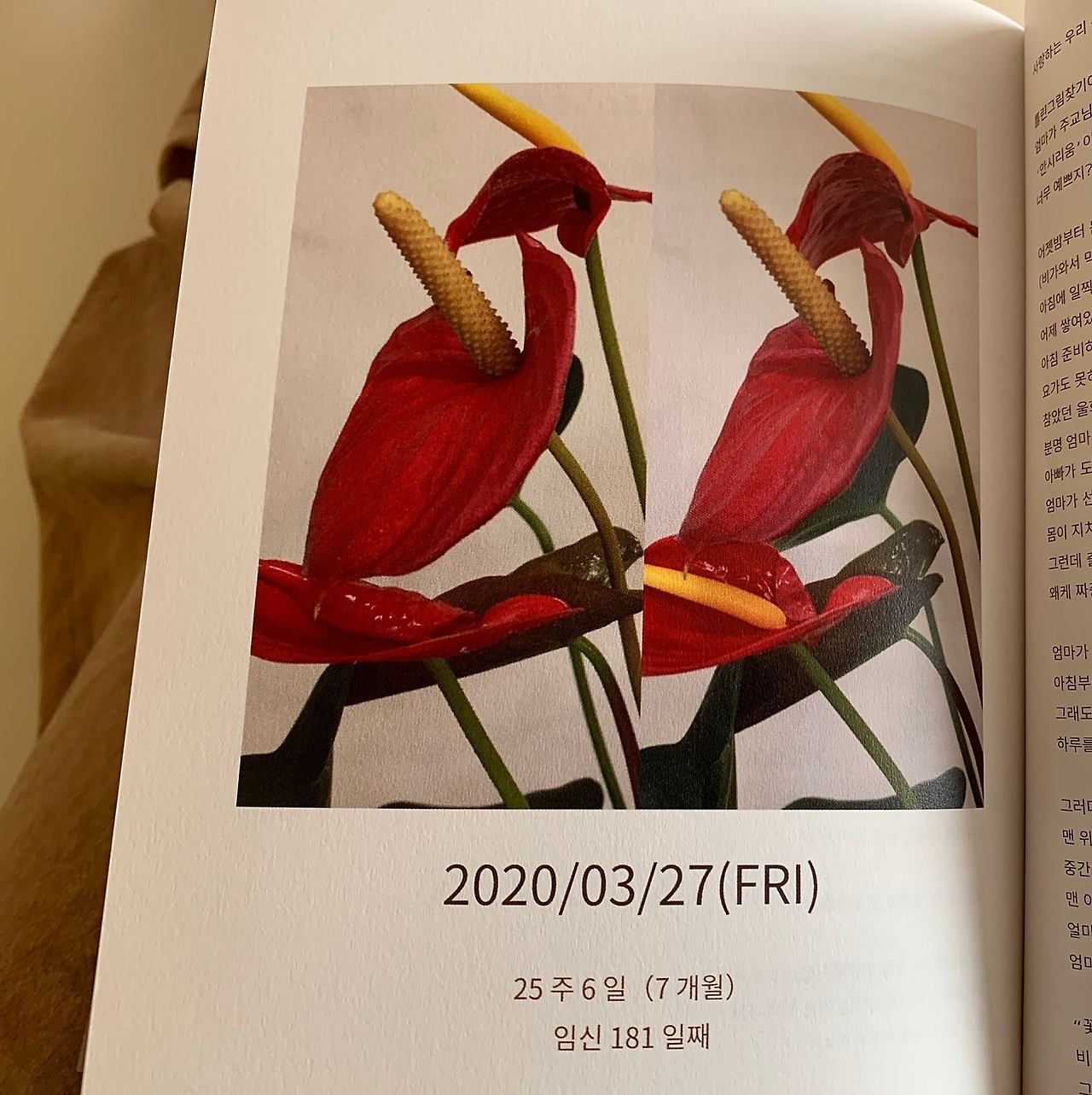 사진 2024. 7. 17. 오전 5 24 35 (14).jpg