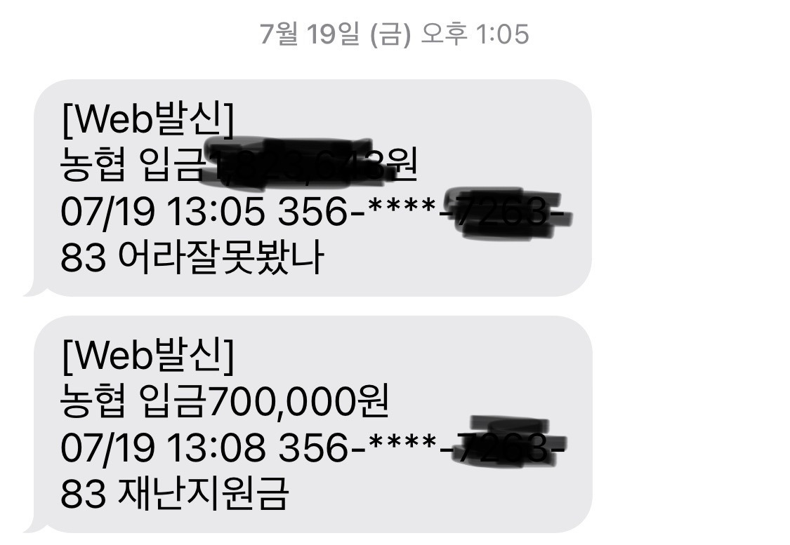 사진 2024. 8. 6. 오전 5 26 39.jpg