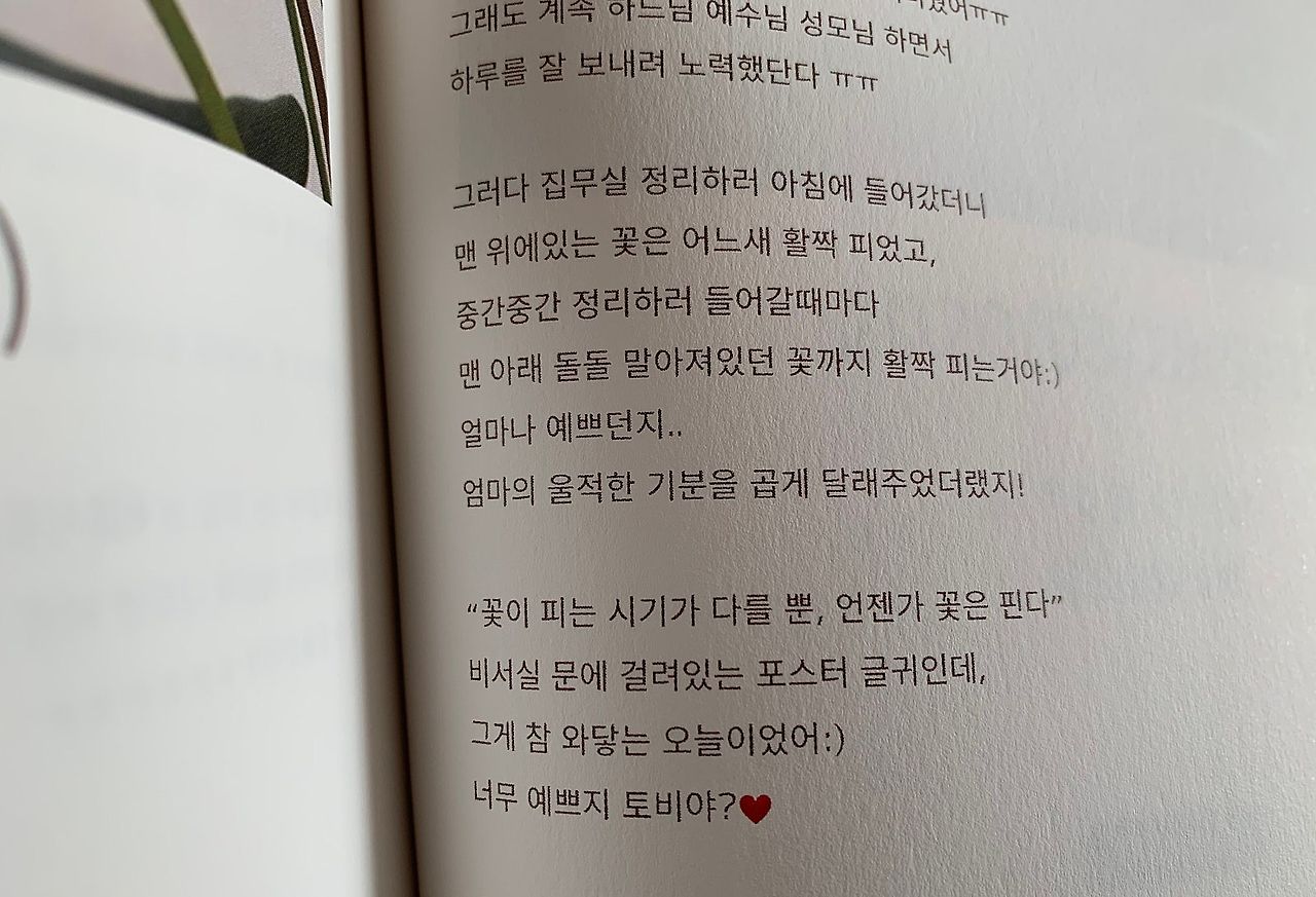 사진 2024. 7. 17. 오전 5 24 35 (15).jpg