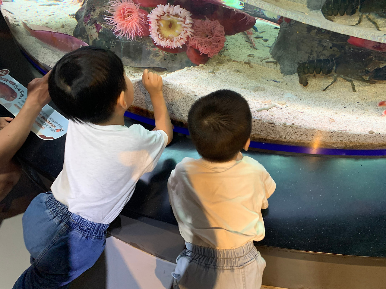 사진 2024. 7. 31. 오전 11 56 48.jpg