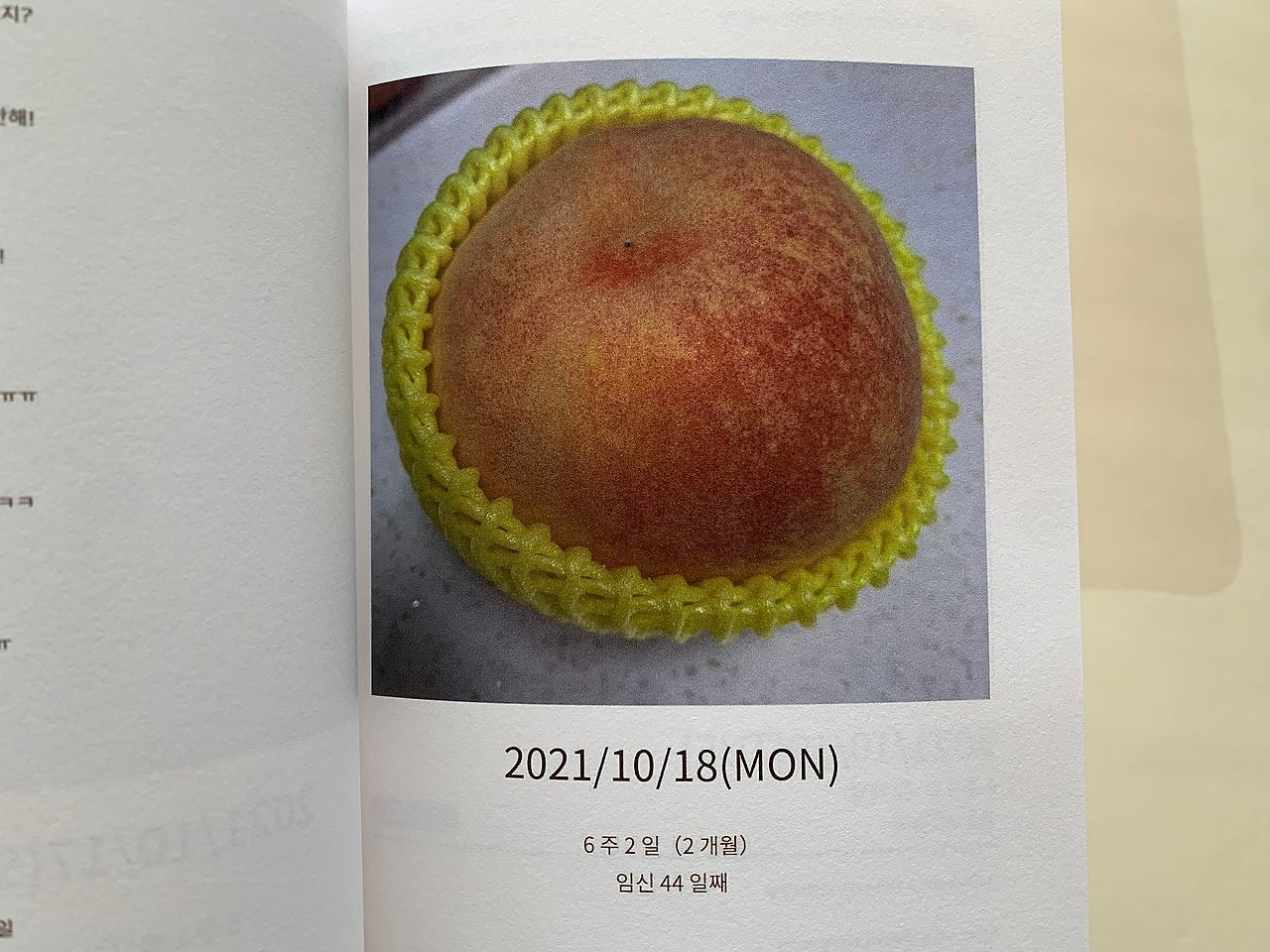 사진 2024. 7. 17. 오전 5 24 35 (21).jpg