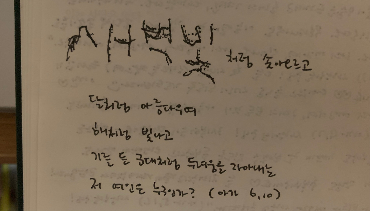 사진 2024. 10. 10. 오전 5 01 03.jpg