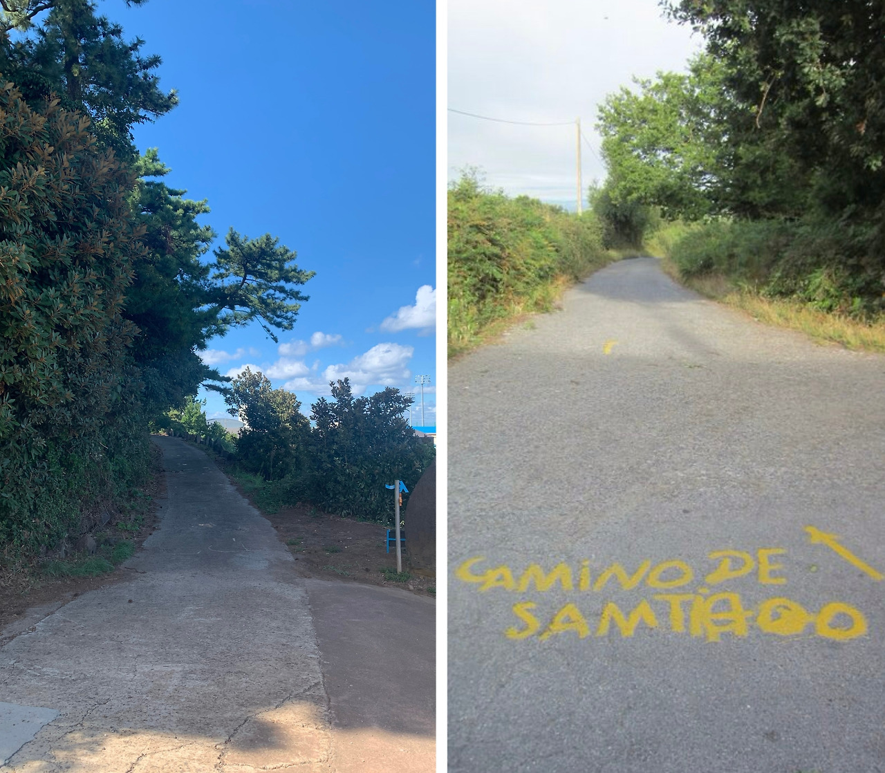 사진 2024. 10. 5. 오전 5 01 42 (1).jpg