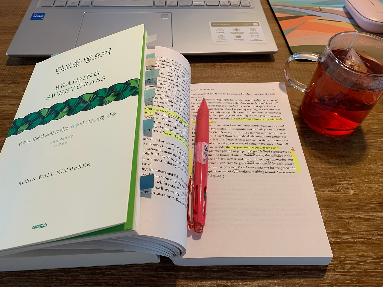 사진 2024. 10. 2. 오전 9 58 52.jpg