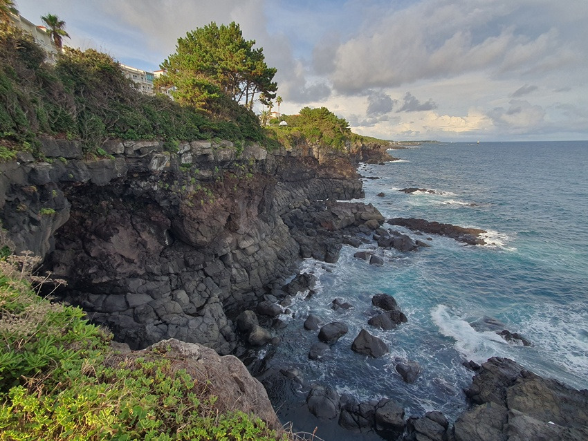 20250831_173709 - 복사본.jpg