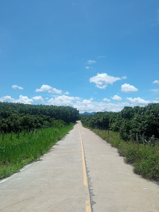 IMG_20230620_111954 (1).jpg