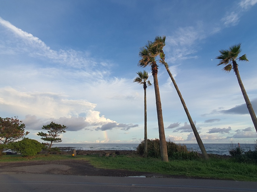 20250831_183054 - 복사본.jpg