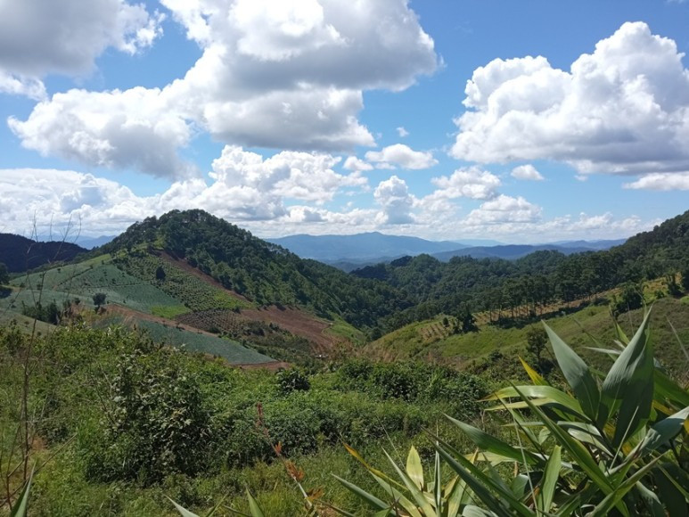 IMG_20230722_143942 (1).jpg