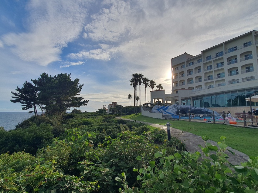 20250831_173951 - 복사본.jpg