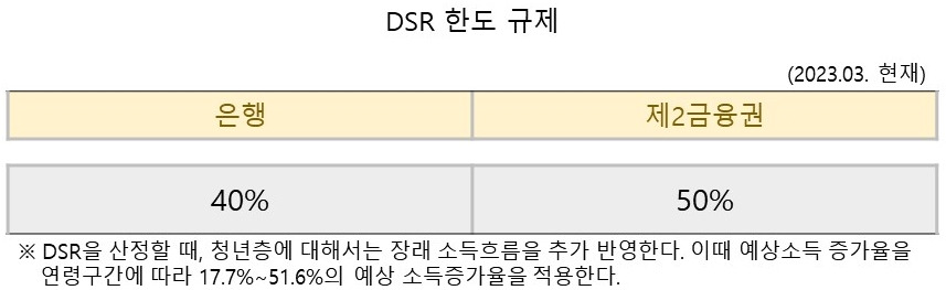DSR 규제.jpg