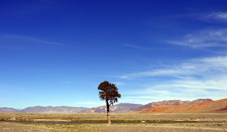 Mongolia-sky.jpg