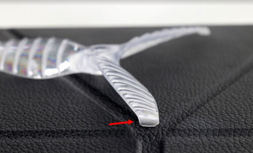 180816 karearea_qtip.jpg