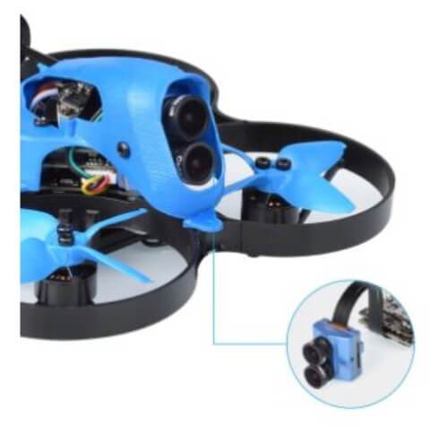 190730 beta_tarsier.jpg